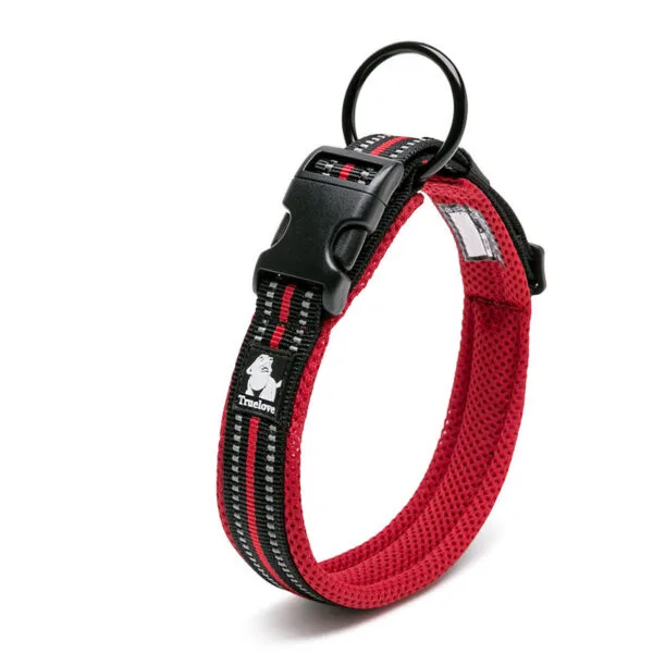 Anti Strangulation Medium Teddy Pet Products - Image 9