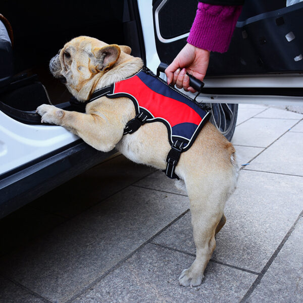 Pet Hand Holding Rope Vest Tactical