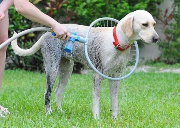 360 degree pet supplies bath ring - Image 3