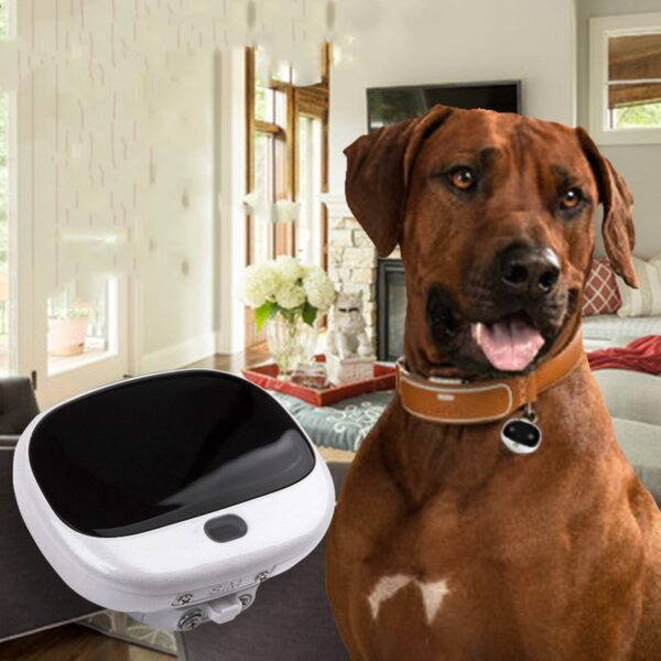 Pet Collar Portable  With LED Light Waterproof Collar Smart Hound Locator