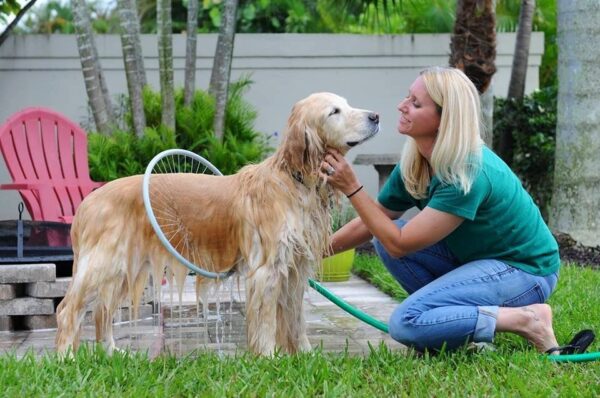 360 degree pet supplies bath ring - Image 5