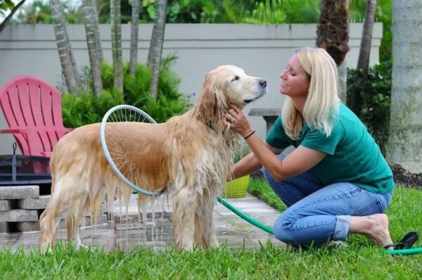 360 degree pet supplies bath ring - Image 5