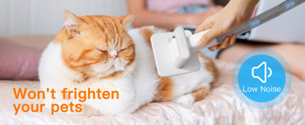 Pet Multifunctional Hair Conditioner Cleaning - Image 2