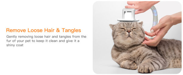 Pet Multifunctional Hair Conditioner Cleaning - Image 3