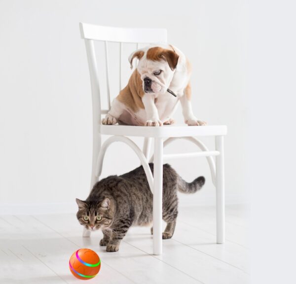 Smart Interactive Cat Toy – USB Rechargeable Self-Rotating Ball - Image 8