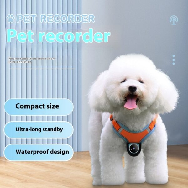 Pet Camera Collar – HD Motion Recording Tracker for Dogs & Cats - Image 4