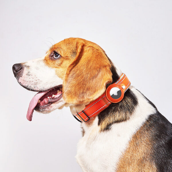Original Airtag Case Leather Dog Cat Traction Collar For Airtags Location Tracker Pet Anti-lost Device Dog Accessories - Image 10