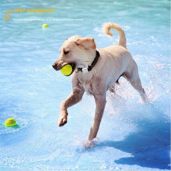 Pet GPS Global Locator Health Monitoring - Image 4