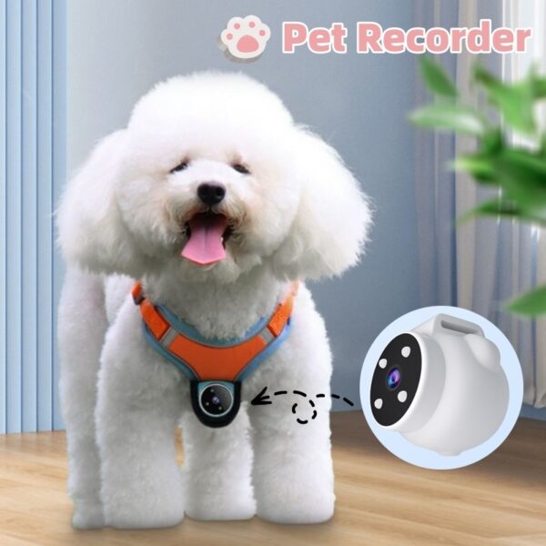 Pet Camera Collar – HD Motion Recording Tracker for Dogs & Cats