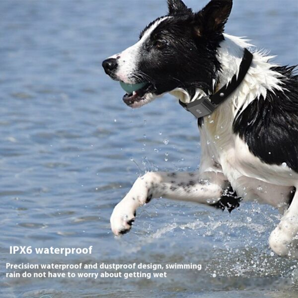 Pet Global Positioning Collar Track Tracking Locator - Image 3