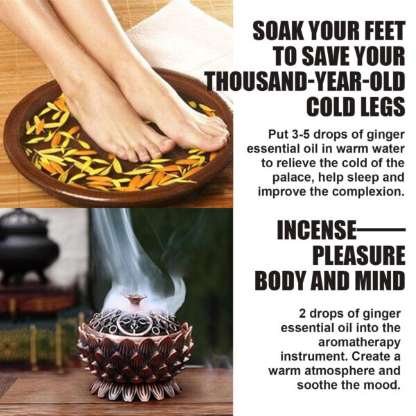 Ginger Essential Oil 10ml Vegetable Oil Body Massage Humidifier - Image 5