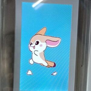 Digital Video Picture Frame with Battery